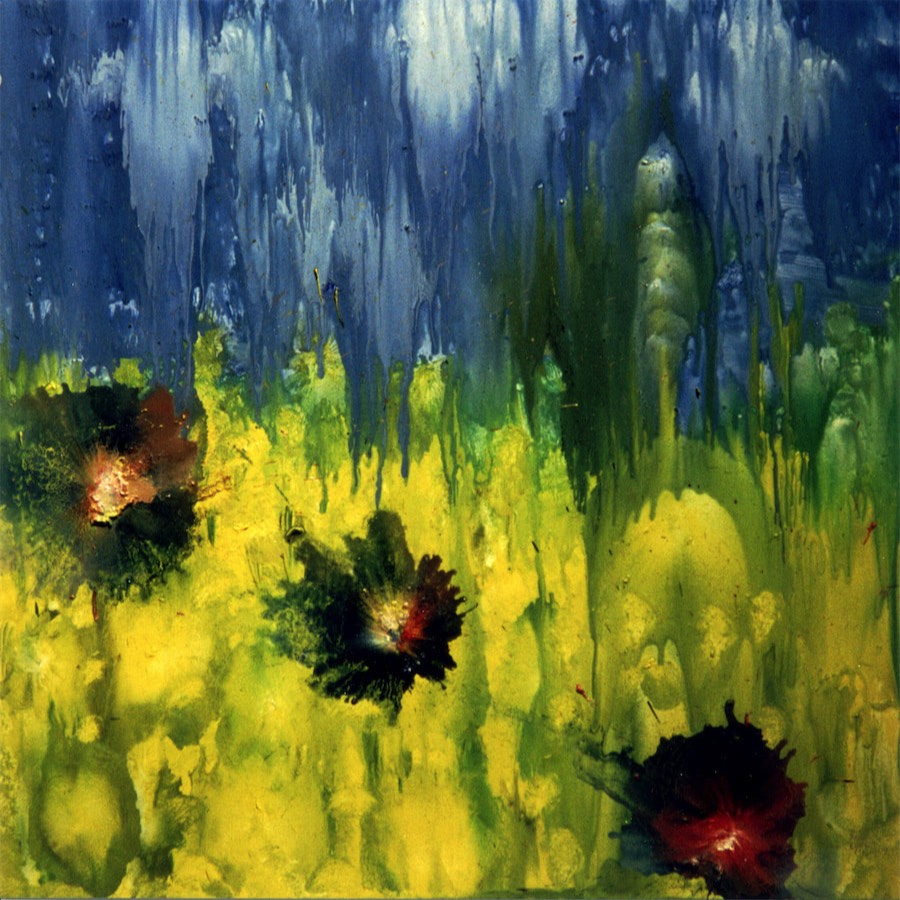 Drei Blumen im Rapsfeld